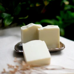Moroccan Argan Soap